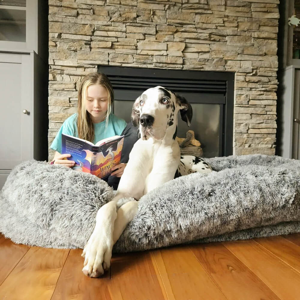 Calming Dog Bed