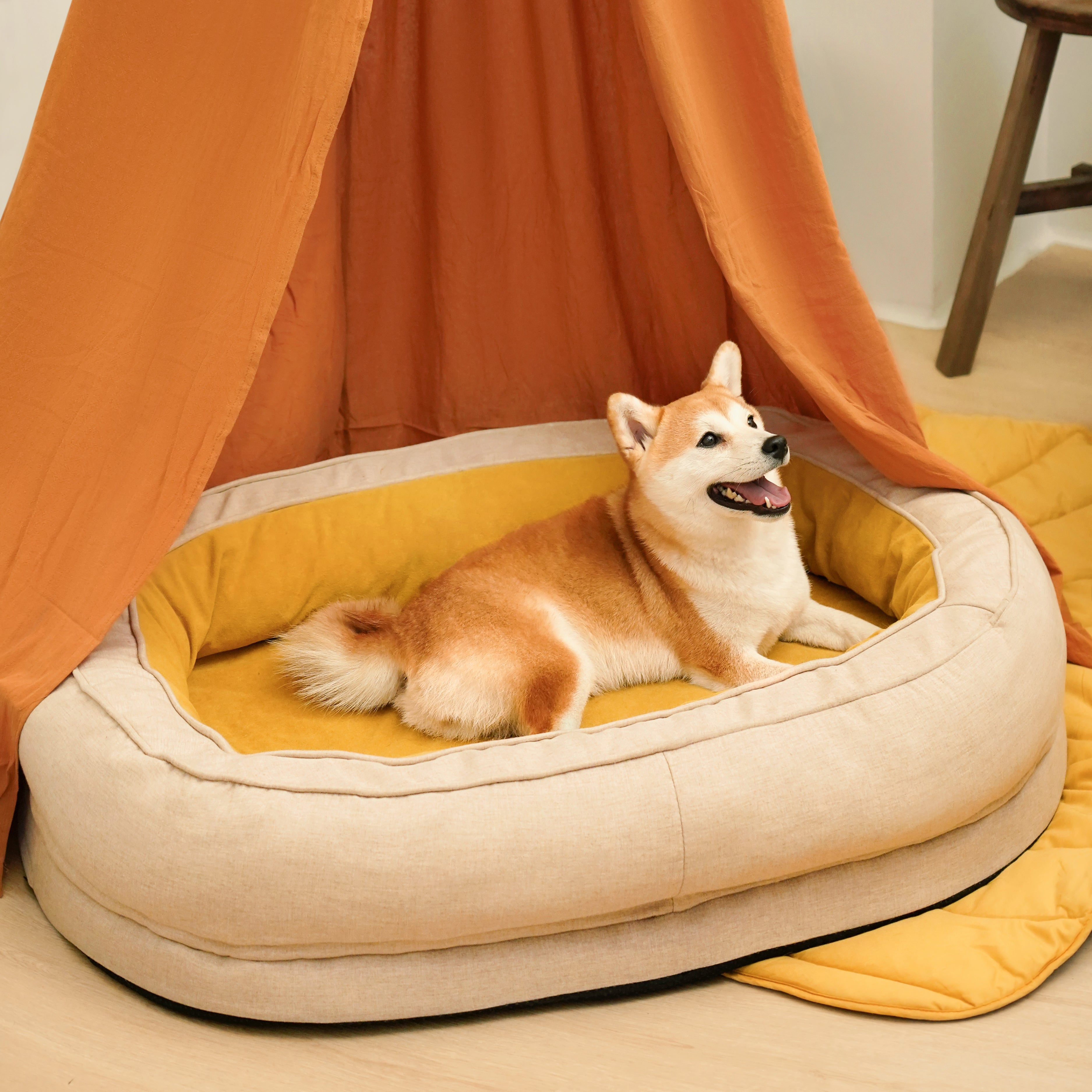 Dog Bed - Donut