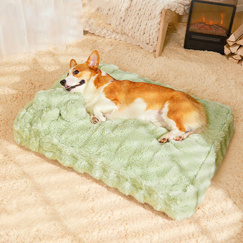 Cosy Fluffy Plush Calming Dog Bed with Pillow