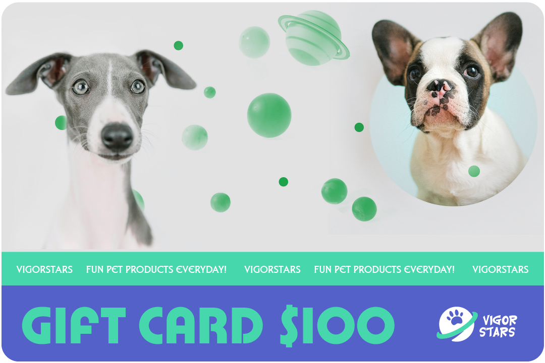 VIGORSTARS Gift Card $100