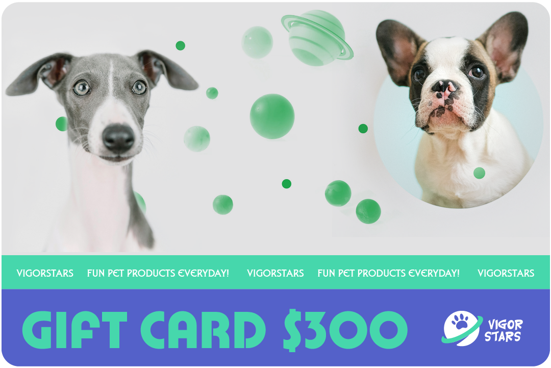 VIGORSTARS Gift Card $300