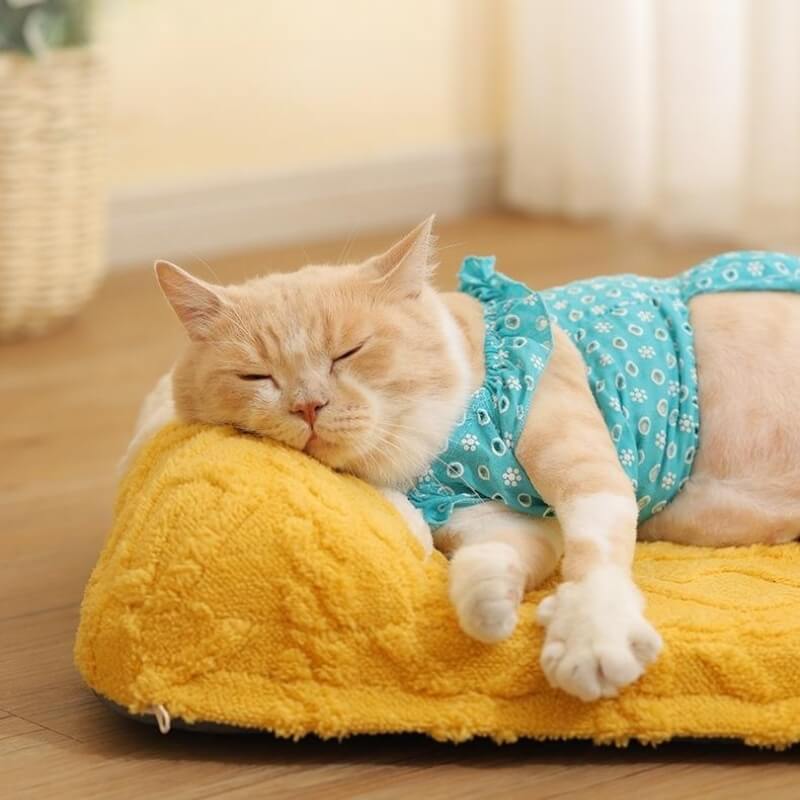 Cheese Cat Bed Fleece Jacquard Comfort Dog Bed