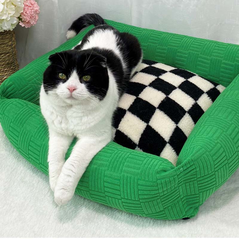 Color Clash Checkerboard Dog & Cat Bed