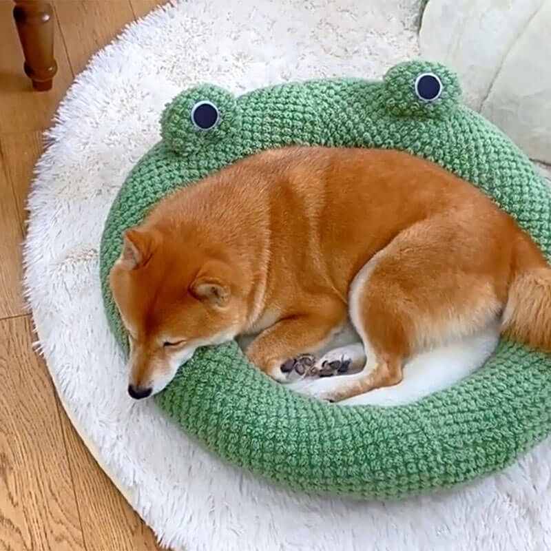 Adorable Frog Form Wrapped Pet Bed Cat Cave