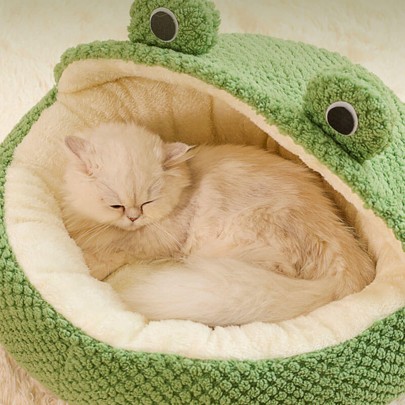 Adorable Frog Form Wrapped Pet Bed Cat Cave