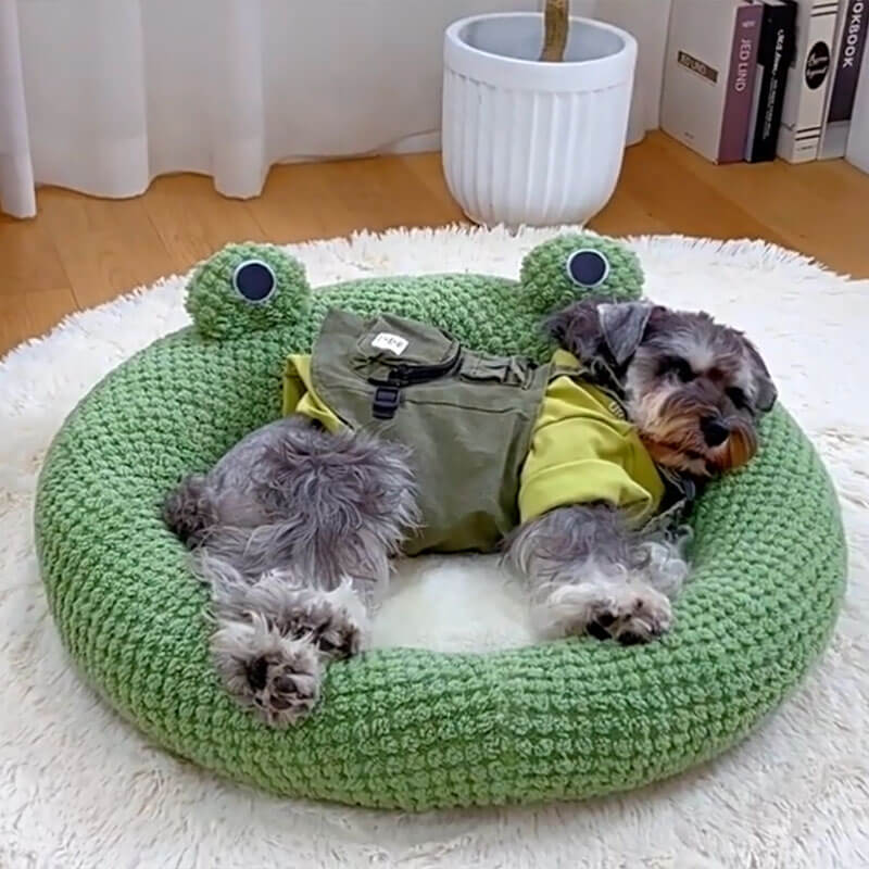 Adorable Frog Form Wrapped Pet Bed Cat Cave