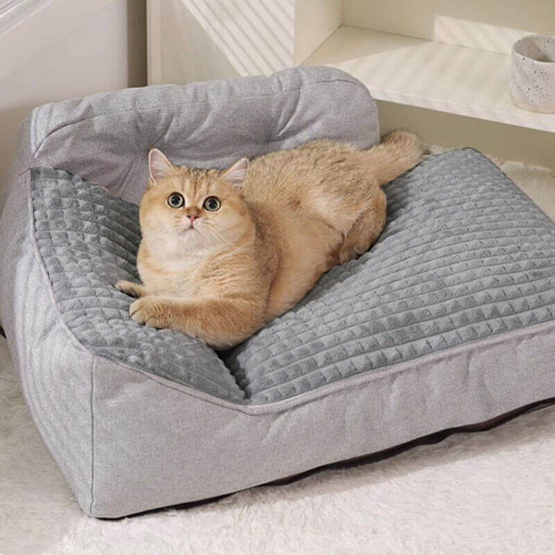 All Seasons Thick Large Washable Cat & Dog Pillow Bed