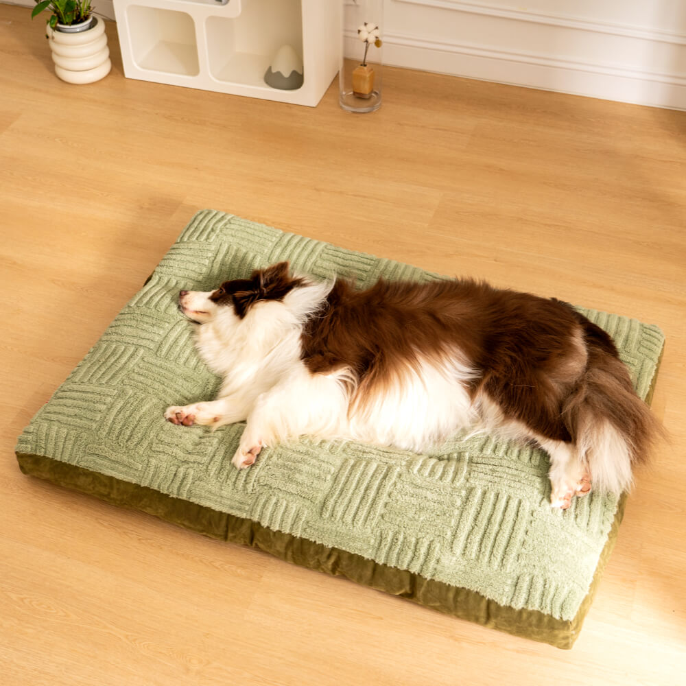 Extra Large Thick Orthopedic Dog Cushion Bed