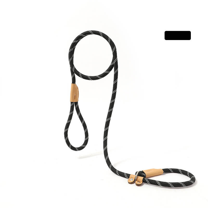 Explosion-Proof Nylon Braided Dog Leash Non-Pull