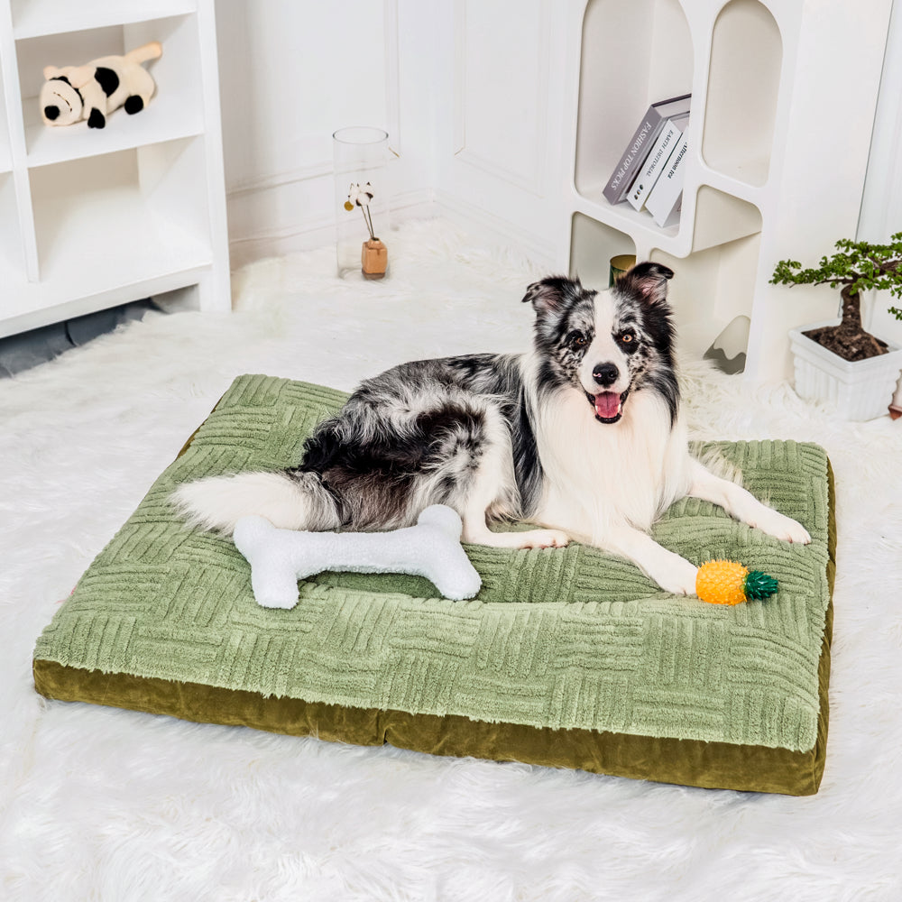 Extra Large Thick Orthopedic Dog Cushion Bed