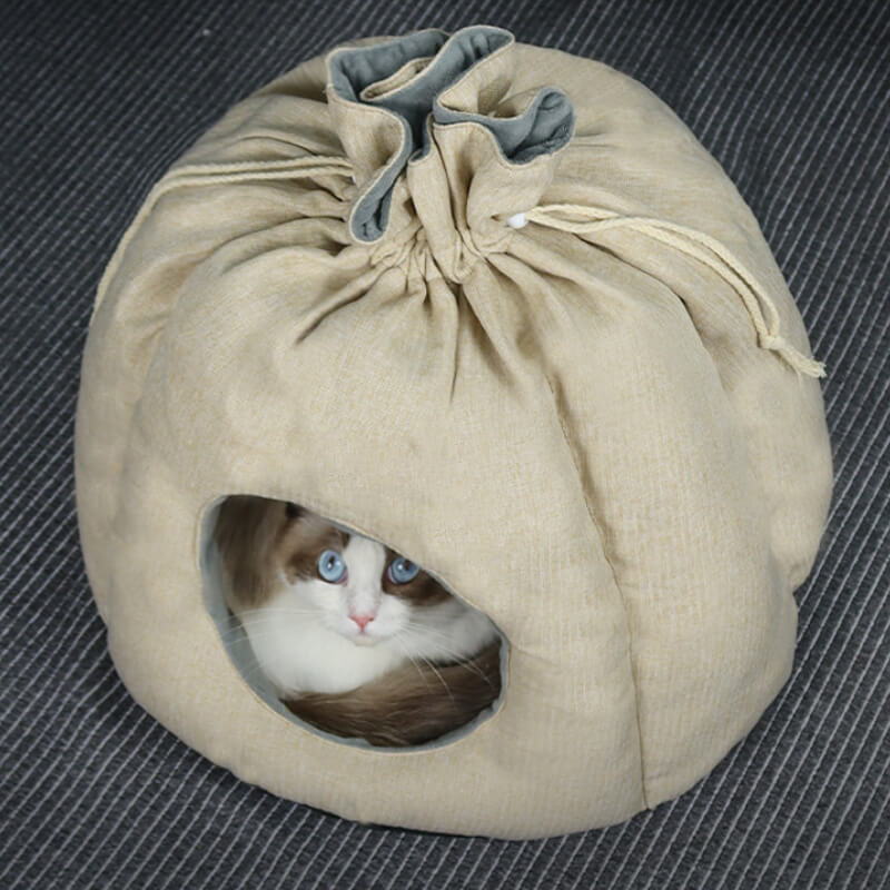 Funny Money Bag Enclosed Cat Cave