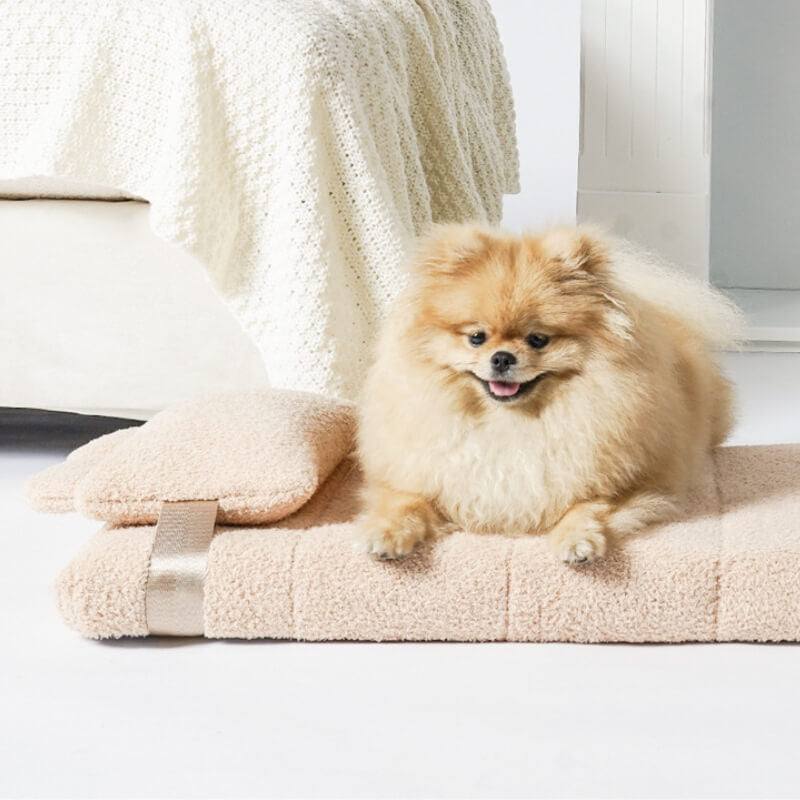 Soft Tatami Mat Pet Lounger Dog Bed with Pillow