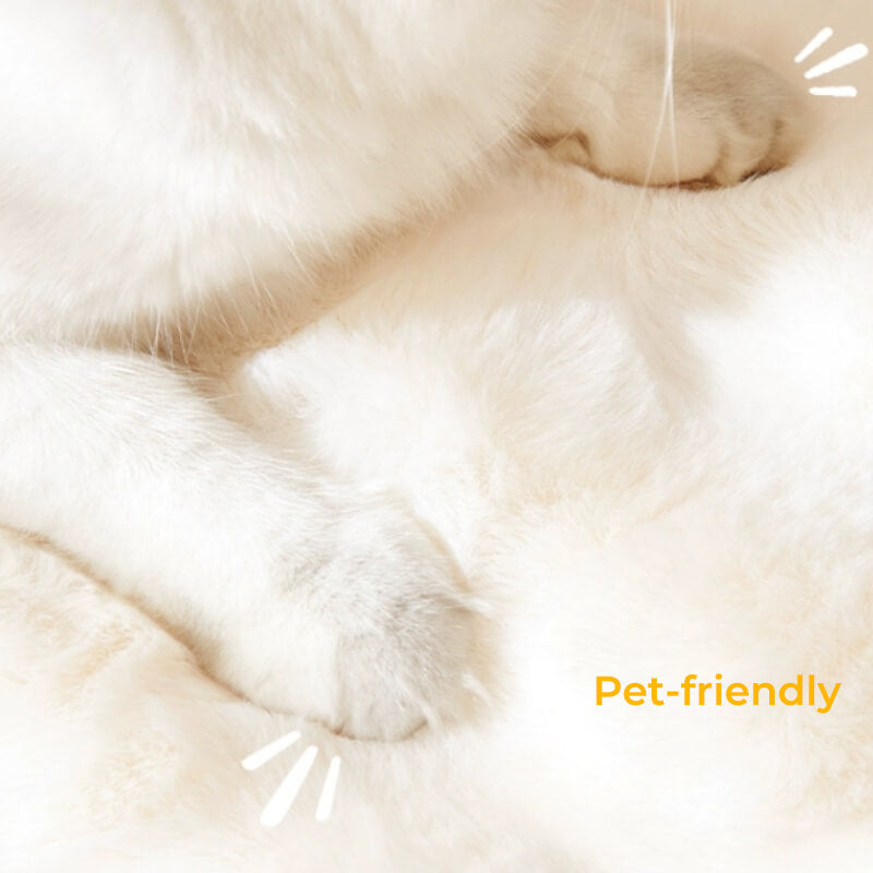 Ultra-Soft Fluffy Plush Non-Slip Rug Pet Mat