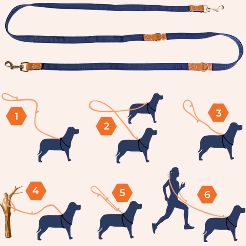 Anti-Pull Dog Harness Walking Kit