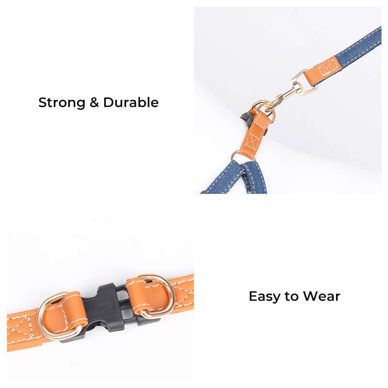 Anti-Pull Dog Harness Walking Kit