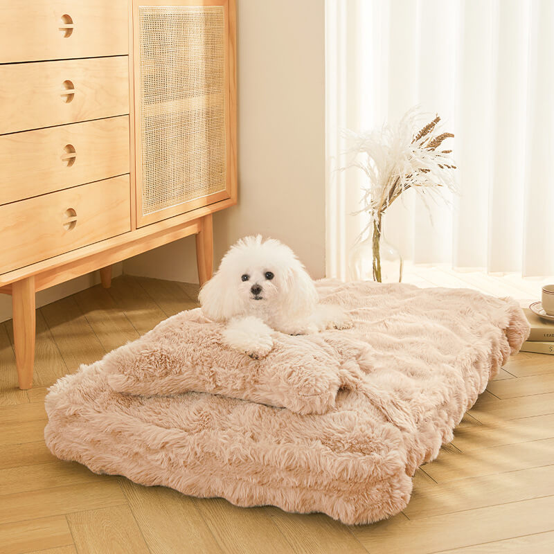 Cosy Fluffy Plush Calming Dog Bed with Pillow