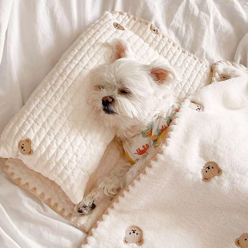 Cozy Embroidered Cotton Pet Pillow Quilt Bed Set