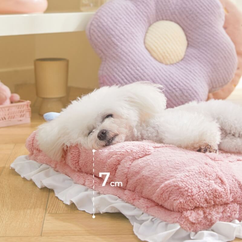 Cozy Plush Calming Bed Dog & Cat Bed