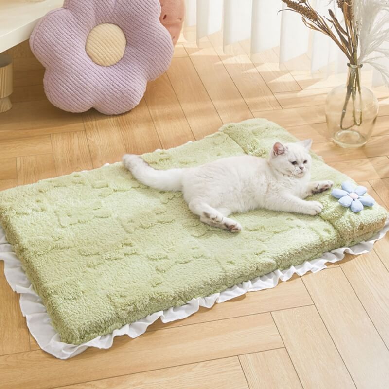 Cozy Plush Calming Bed Dog & Cat Bed