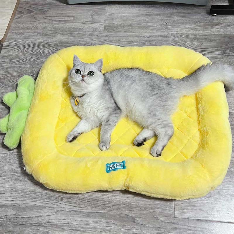 Cute Furry Cat & Dog Cushion Bed