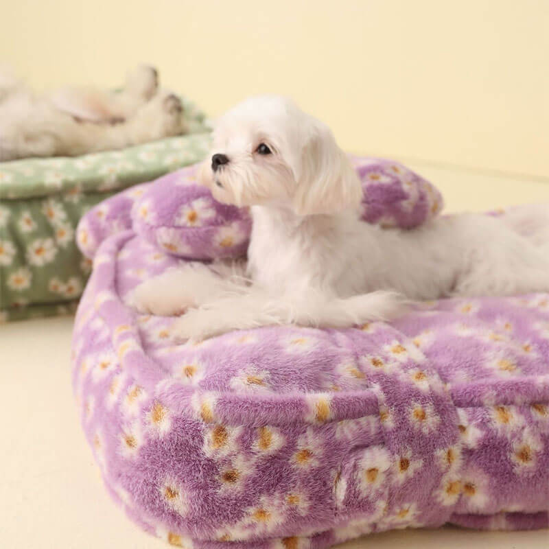 Daisy Pattern Warm Soft Calming Dog Bed With Flower Pillow