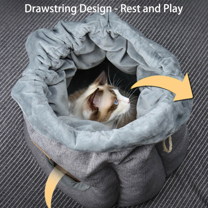 Funny Money Bag Enclosed Cat Cave