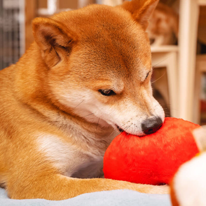 Funny Plush Squeaky Dog Toy - Butt