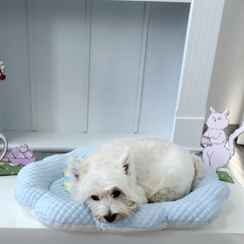 Ice Cream Cloud Cool Feeling Cat Bed with Ice Mat