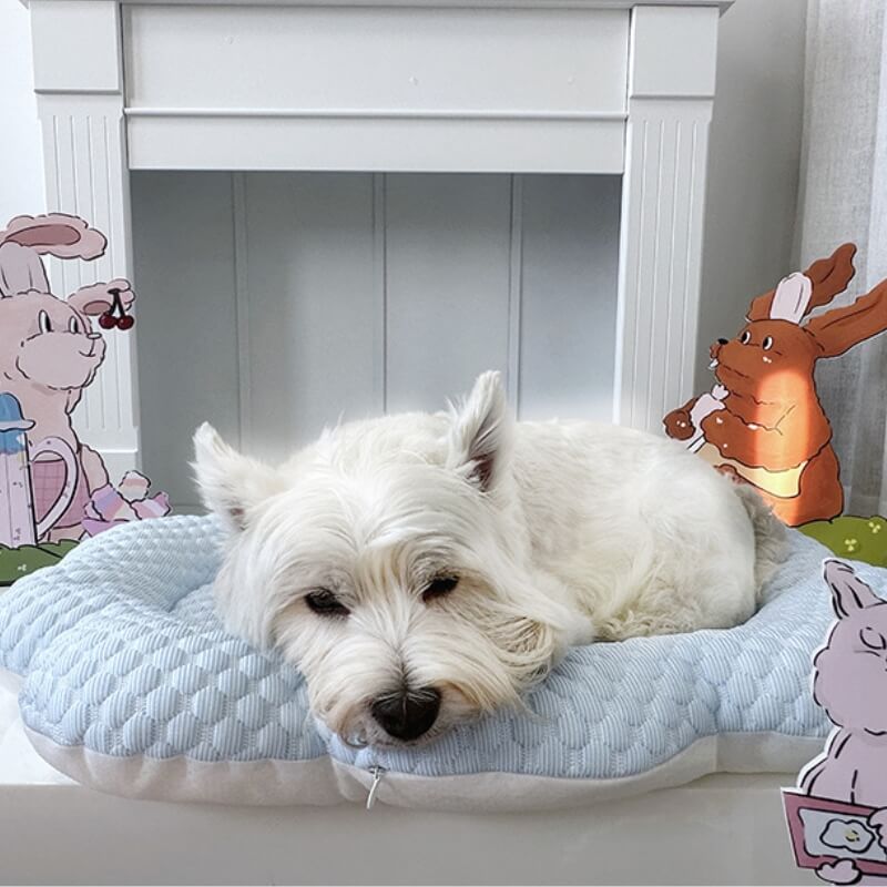 Ice Cream Cloud Cool Feeling Cat Bed with Ice Mat