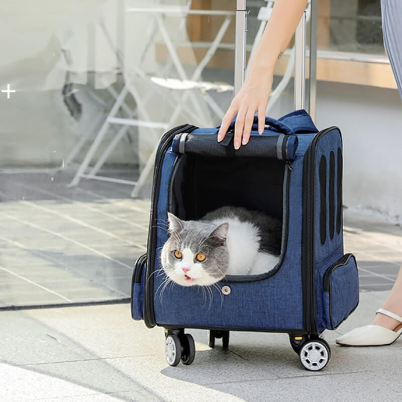 Multipurpose Folding Cat Travel Backpack Pet Trolley Case