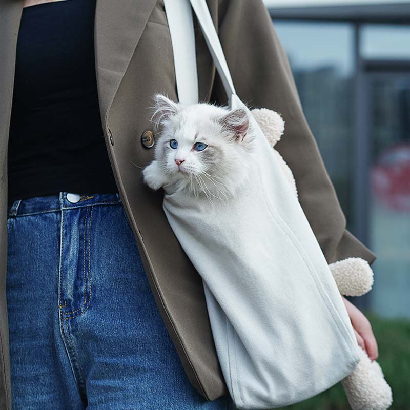 Portable Breathable Travel Pet Carrier Bag