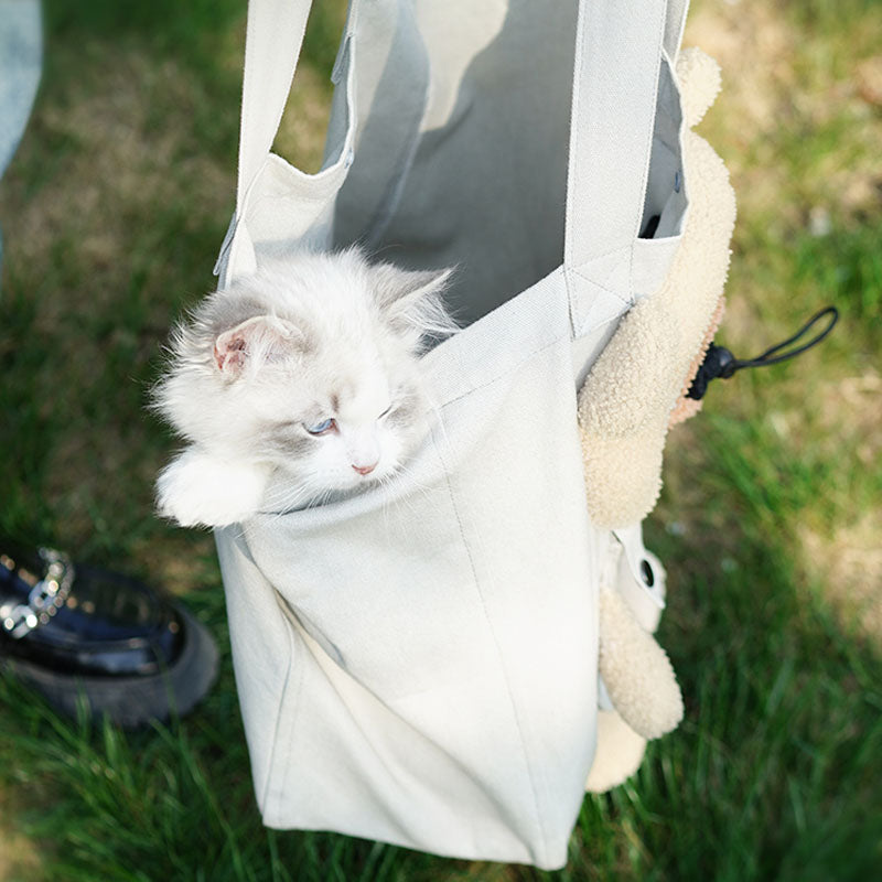 Portable Breathable Travel Pet Carrier Bag