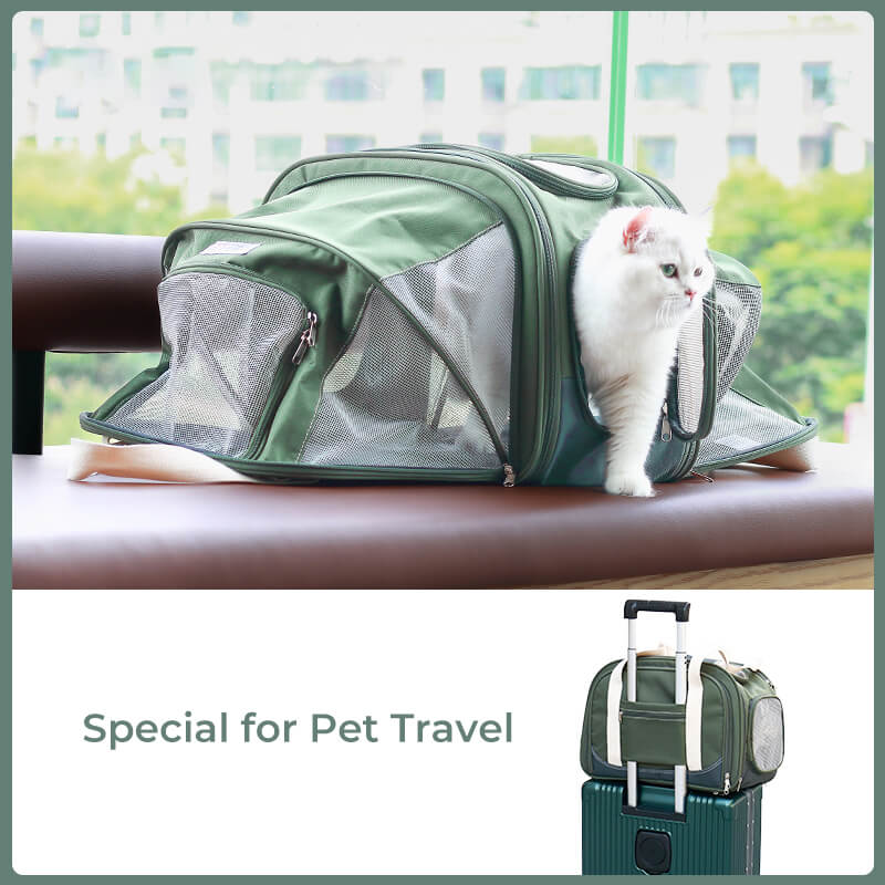 Travel Multifunctional Expandable Cat Carrier Bag