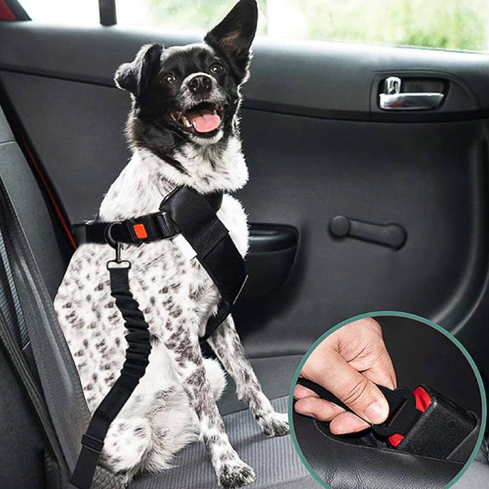 Buffer Adjustable Dog Car Seat Belt