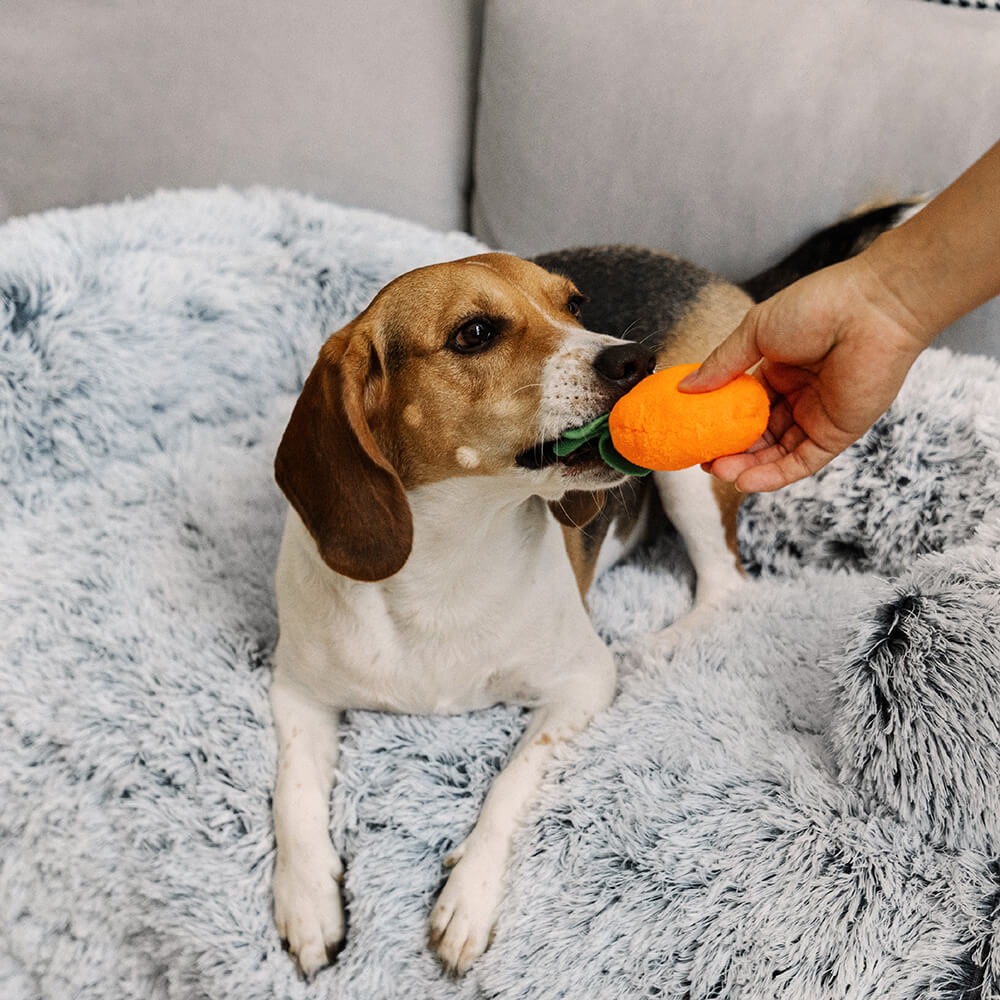 Calming Furniture Protector Dog Bed - Fuzzy Back Support