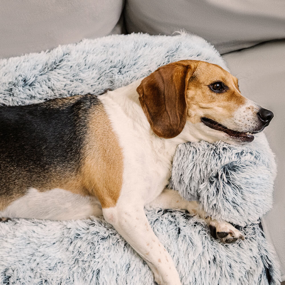 Calming Furniture Protector Dog Bed - Fuzzy Back Support