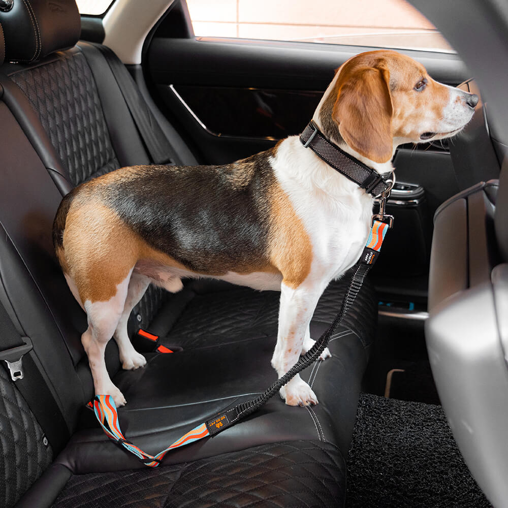 Color Buffer Adjustable Dog Car Seat Belt