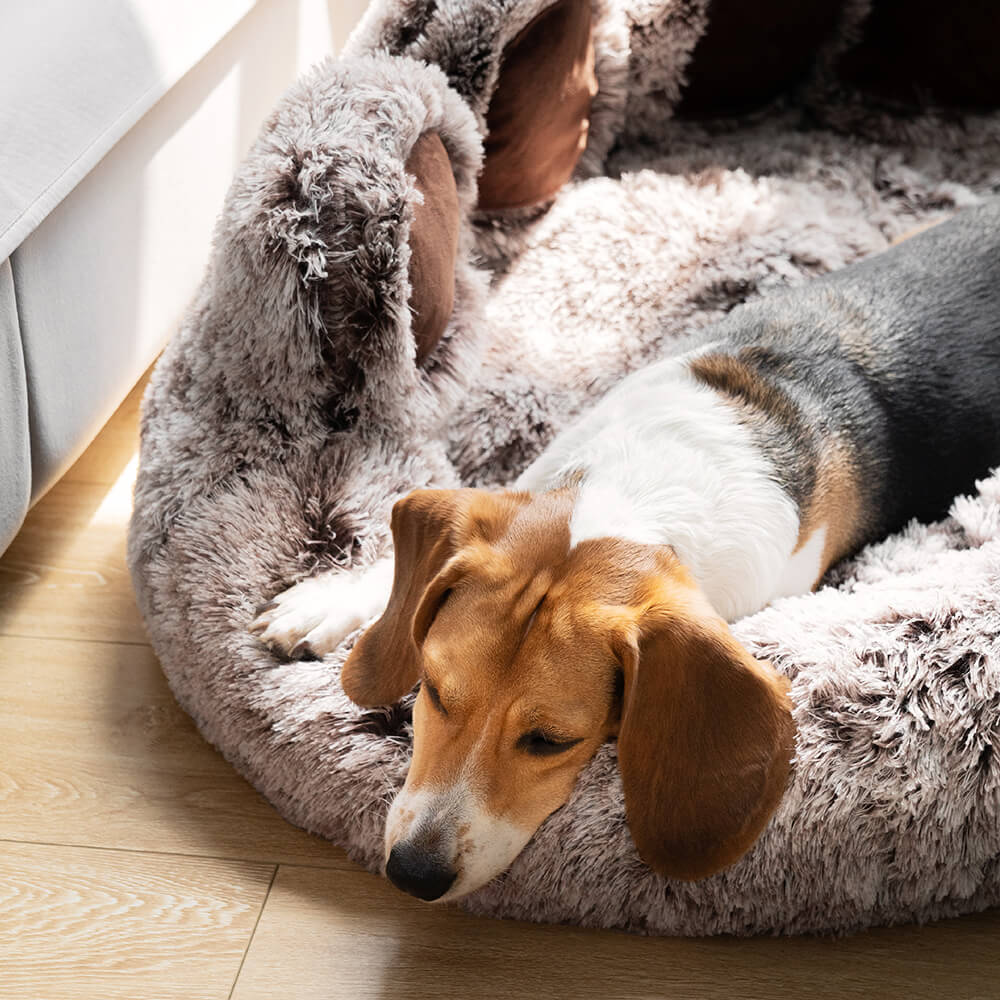 Dog Bed - Fuzzy Paw