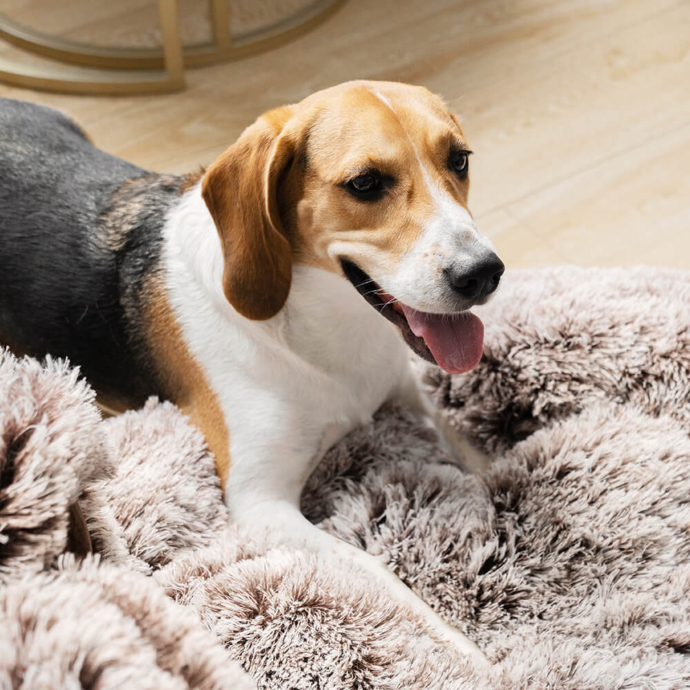 Dog Bed - Fuzzy Paw