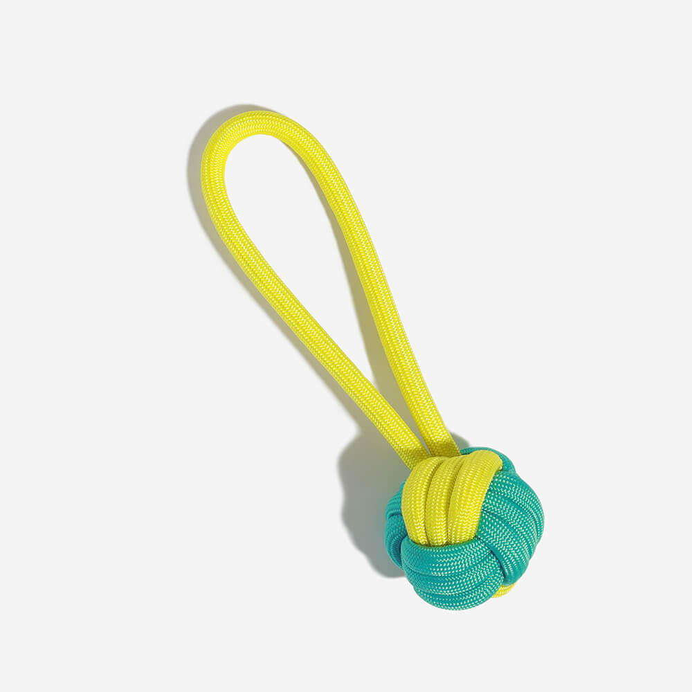 Knots Rope Tug Dog Toy - Color Clash