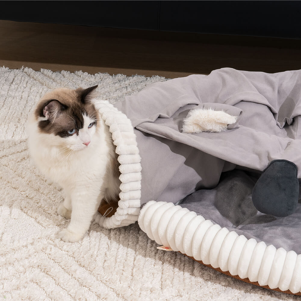 Koalaing 2 in 1 Foldable Indoor Soft Cat Tunnel Bed