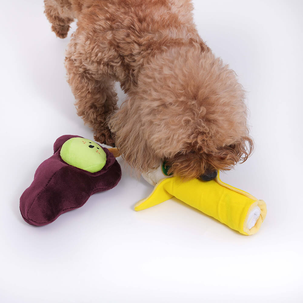 Plush Squeaky Dog Toy - Fruit