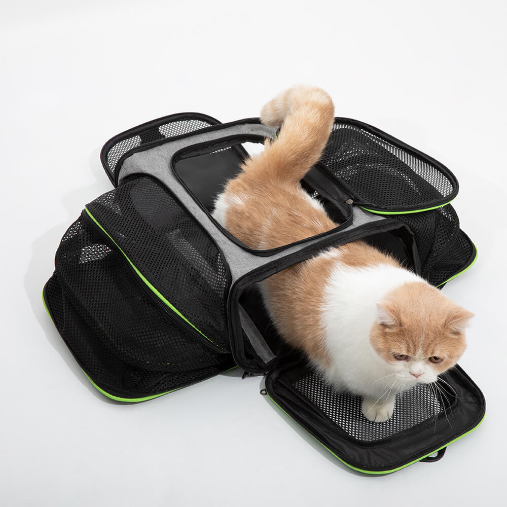 Portable Expandable Foldable Breathable Pet Carrier Bag