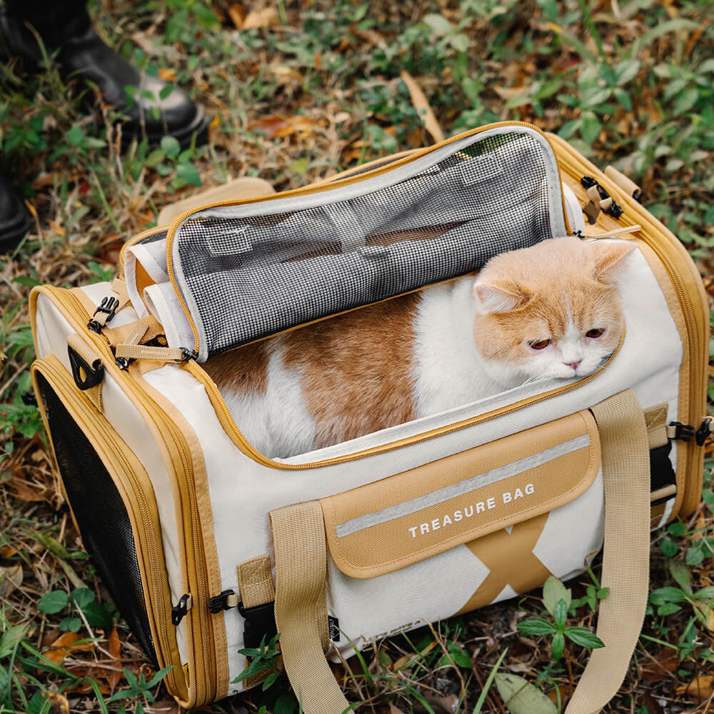 Portable Foldable Breathable Pet Carrier Bag