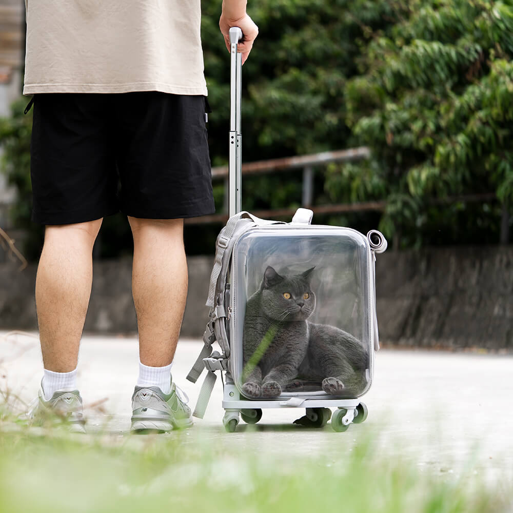 Dual Purpose Pet Trolley Case Carrier Cats Transparent Backpack with Silent Wheel