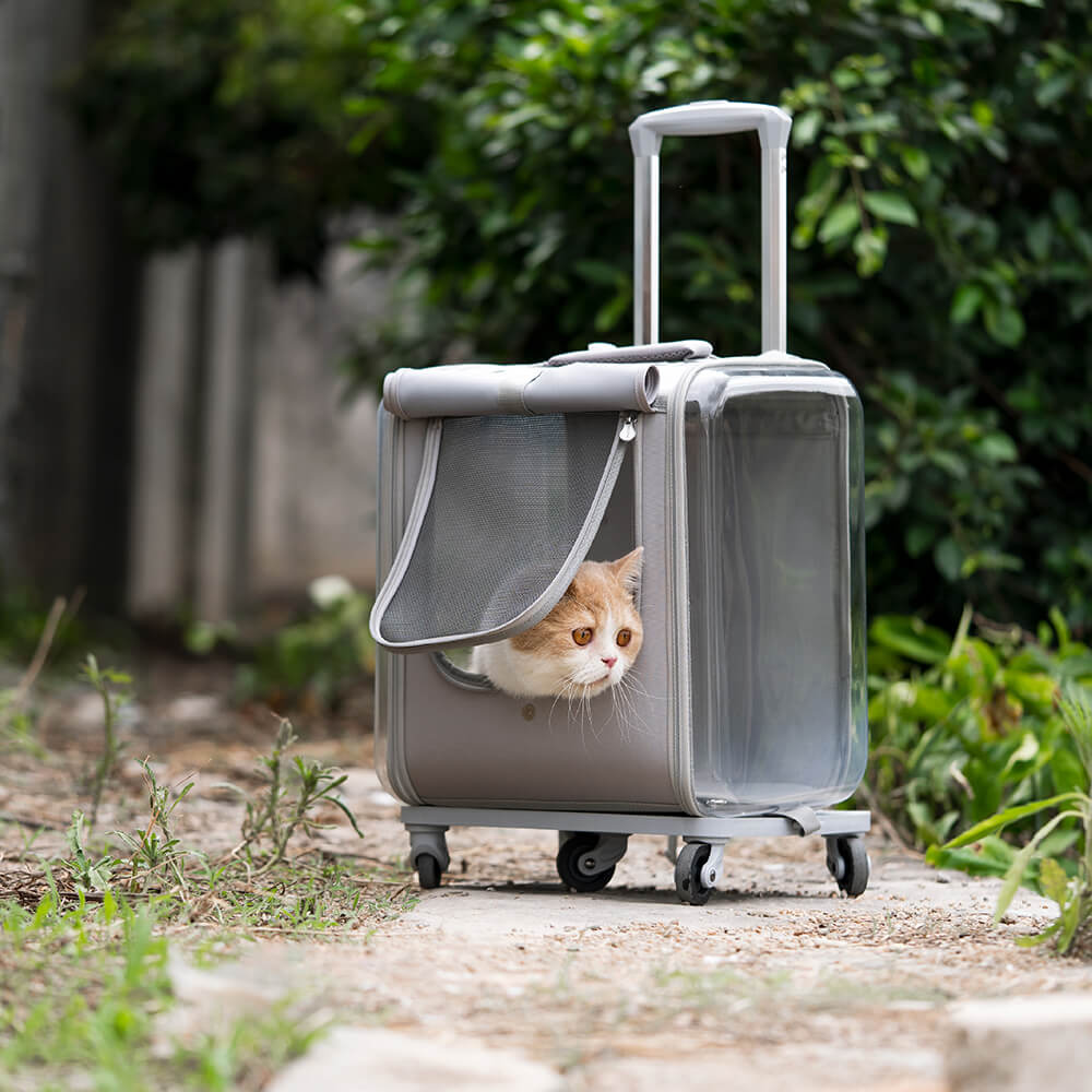 Dual Purpose Pet Trolley Case Carrier Cats Transparent Backpack with Silent Wheel