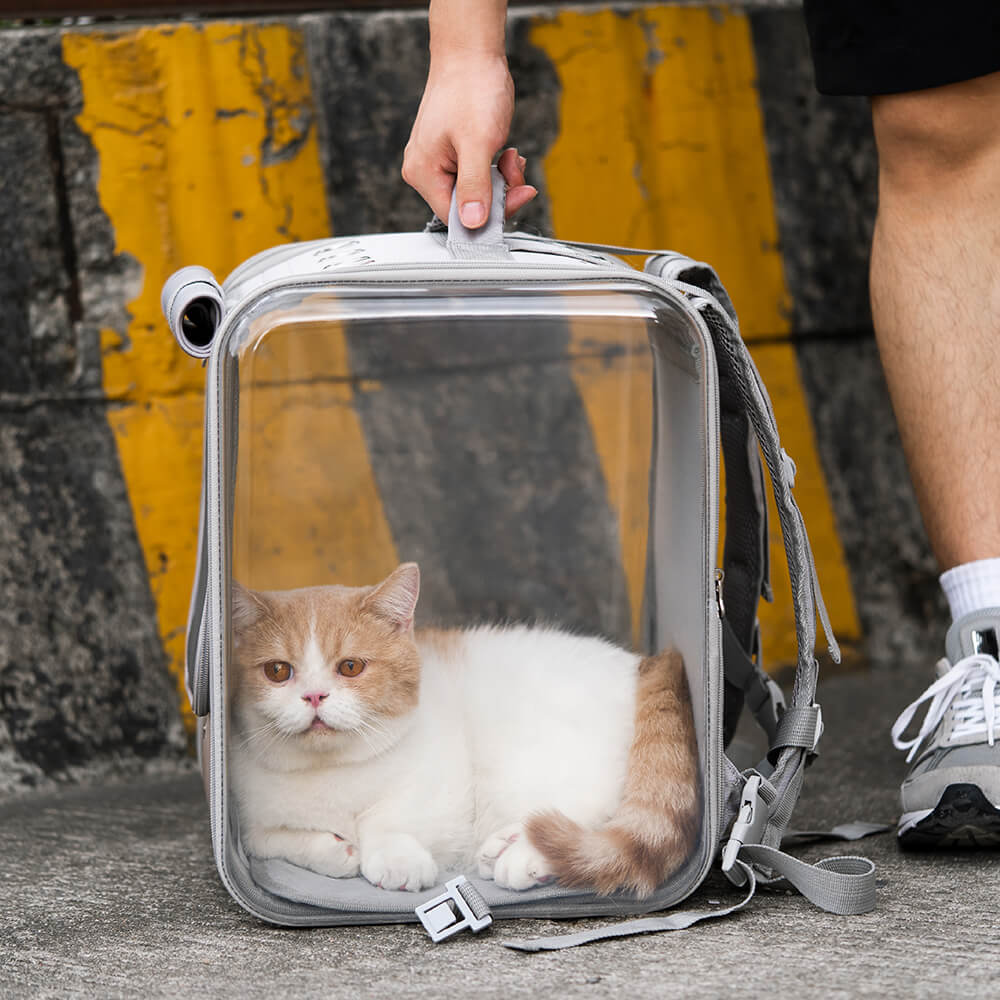 Dual Purpose Pet Trolley Case Carrier Cats Transparent Backpack with Silent Wheel