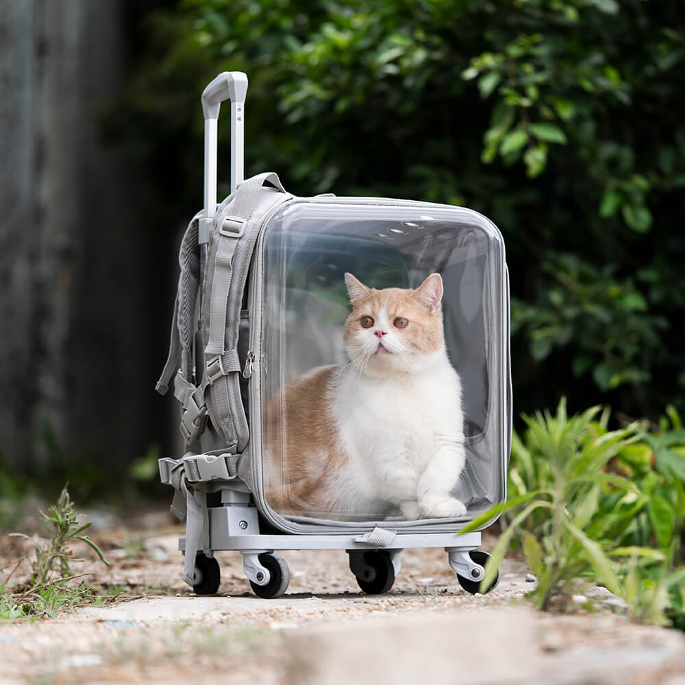 Dual Purpose Pet Trolley Case Carrier Cats Transparent Backpack with Silent Wheel