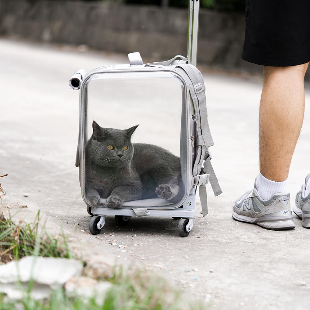 Dual Purpose Pet Trolley Case Carrier Cats Transparent Backpack with Silent Wheel