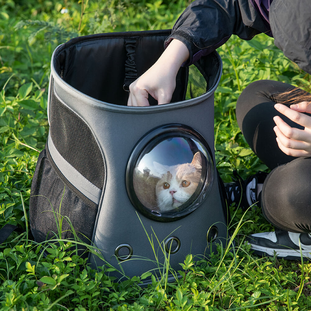 Space Capsule Transparent Breathable Pet Carrier Backpack